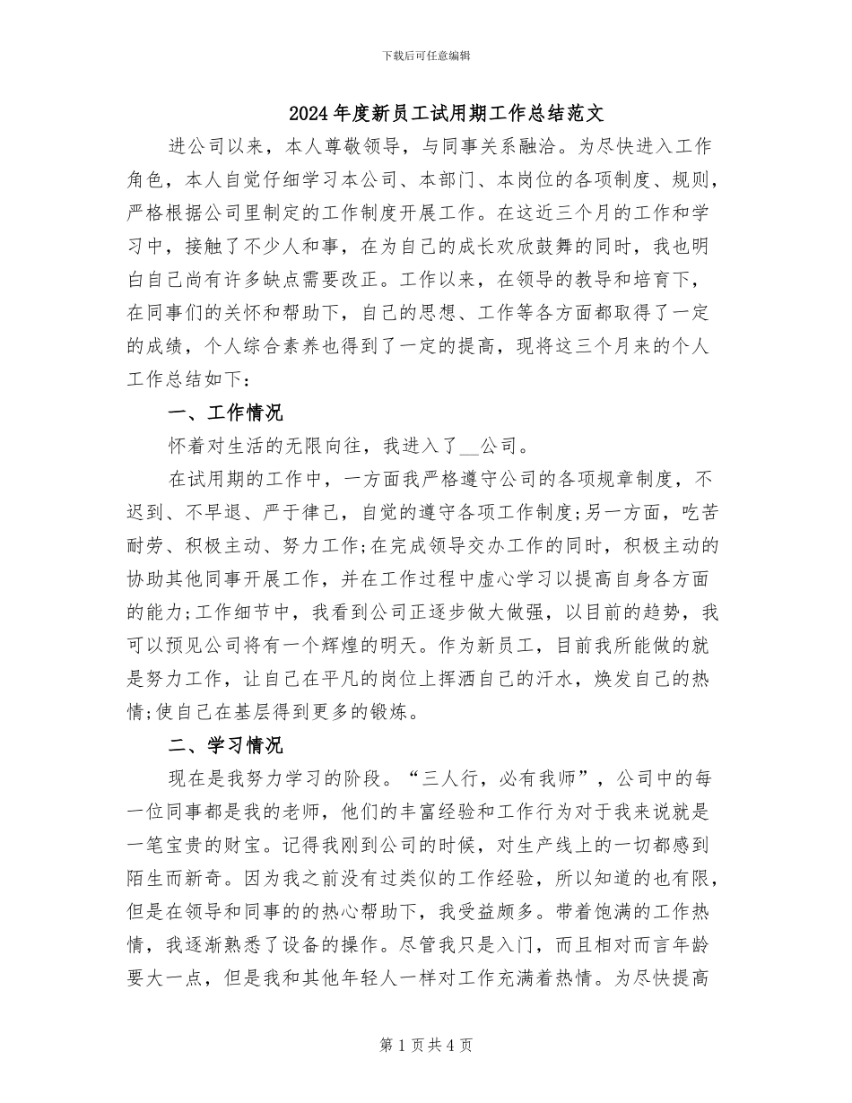 2024年度新员工试用期工作总结范文_第1页
