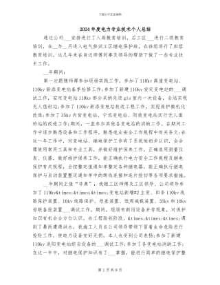 2024年度电力专业技术个人总结