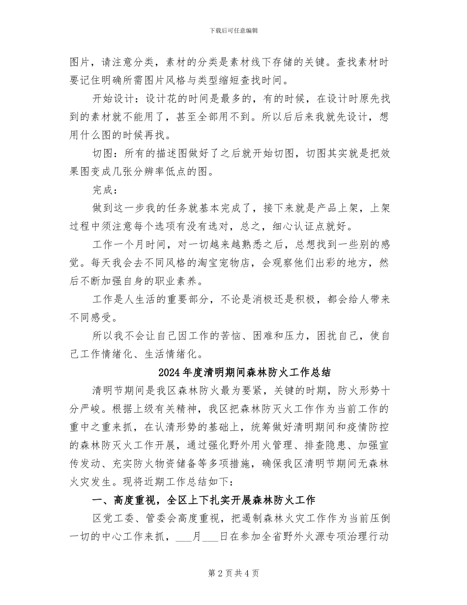 2024年度淘宝美工工作总结_第2页