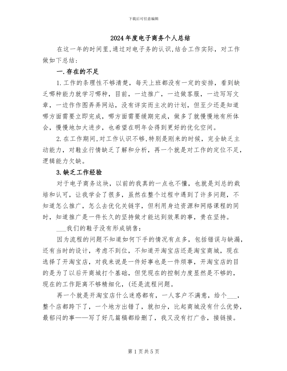 2024年度电子商务个人总结_第1页