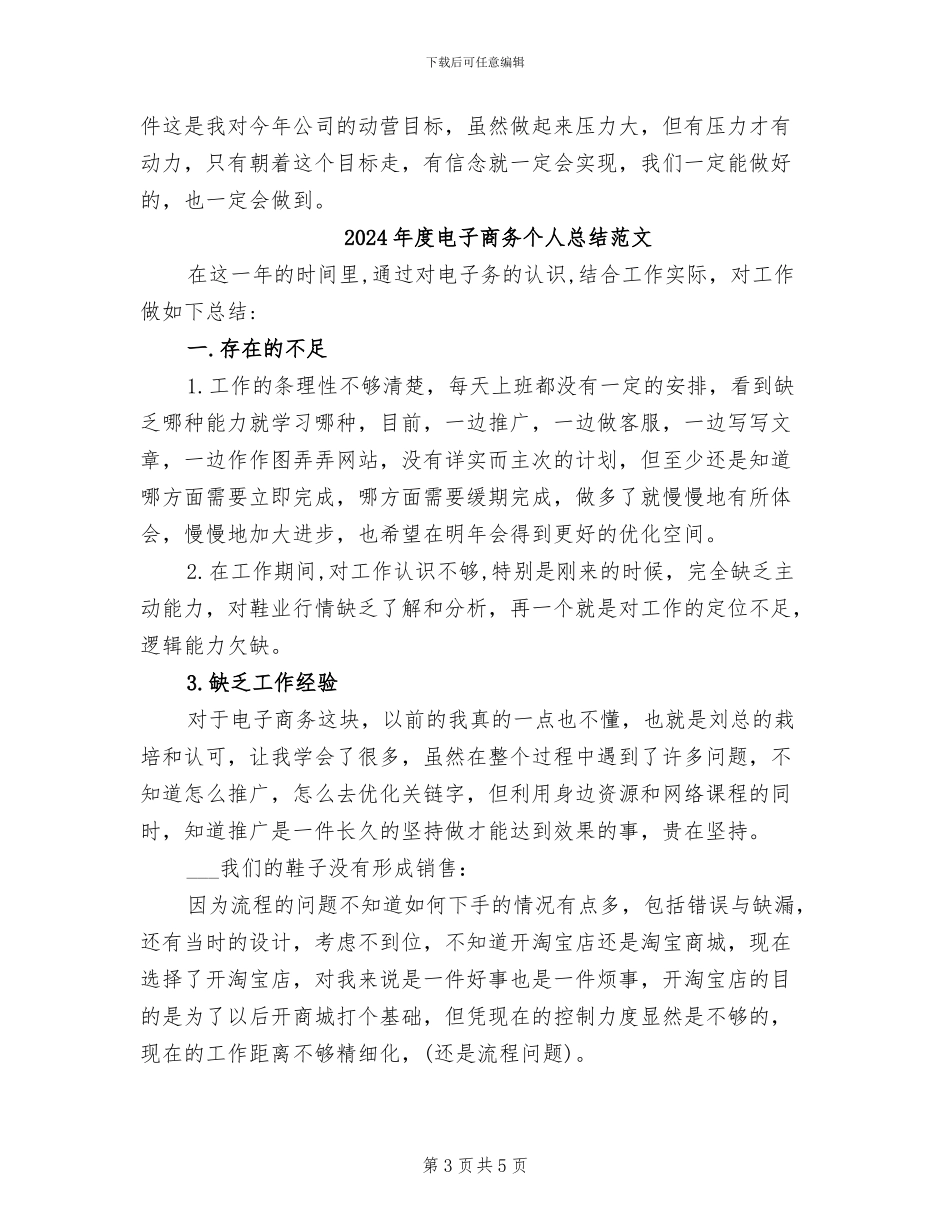 2024年度电子商务个人总结_第3页