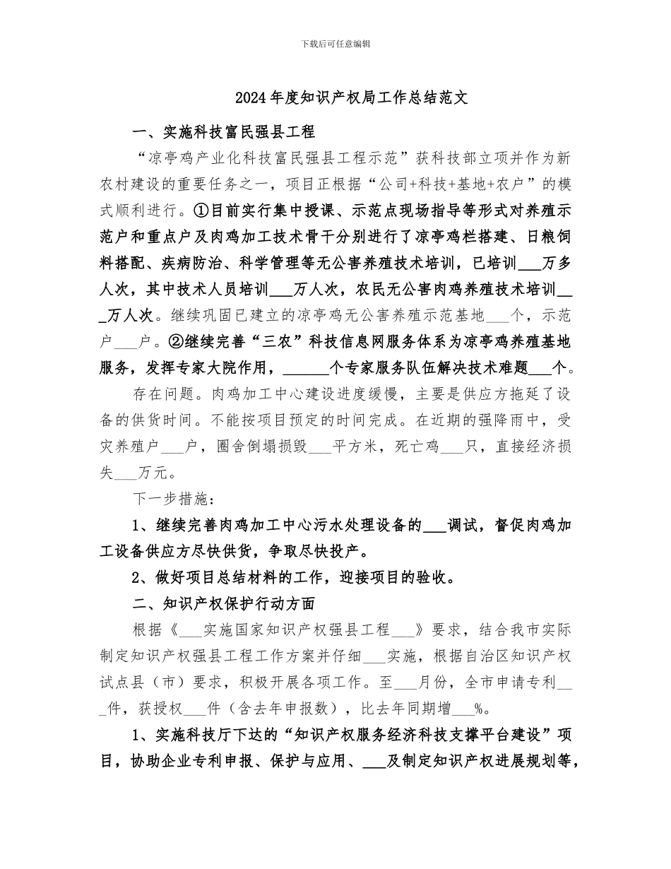 2024年度知识产权局工作总结范文_第1页