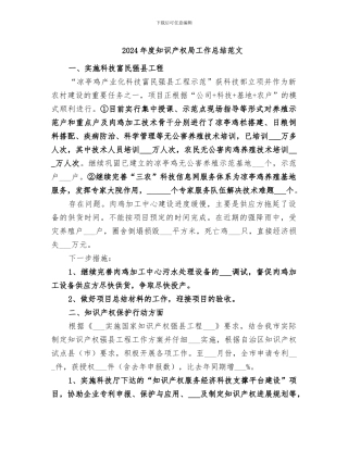 2024年度知识产权局工作总结范文