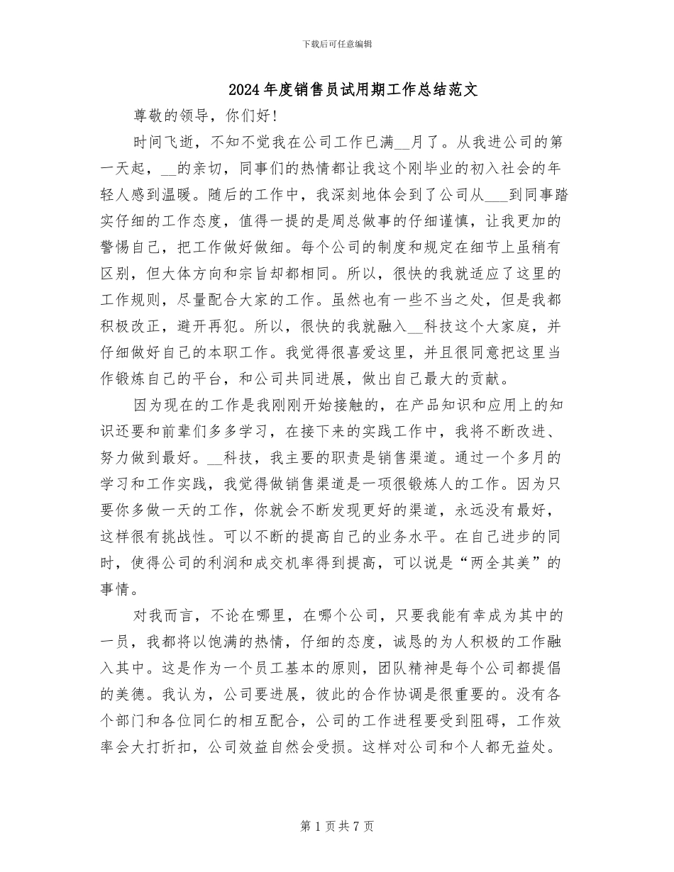 2024年度销售员试用期工作总结范文_第1页