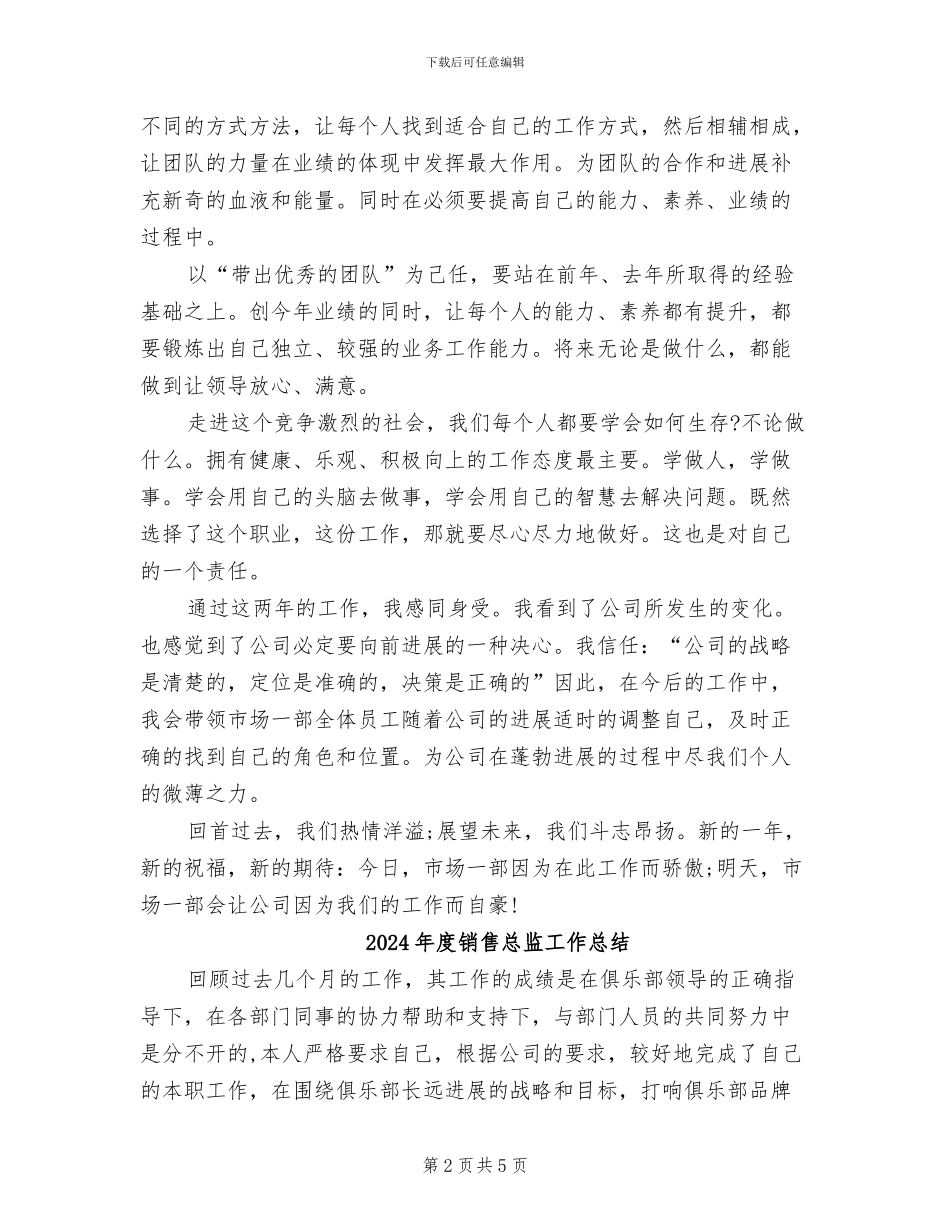 2024年度销售总监个人总结范文_第2页