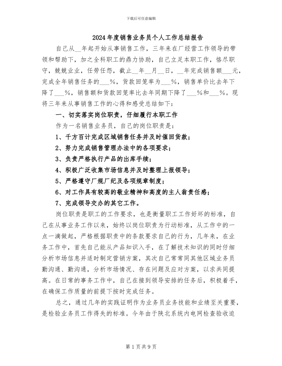 2024年度销售业务员个人工作总结报告_第1页