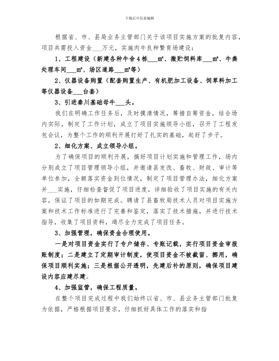 2024年建设项目工作总结_第2页