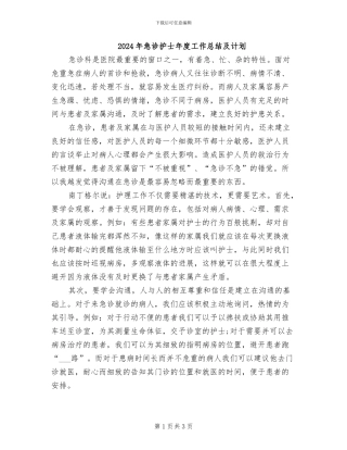 2024年急诊护士年度工作总结及计划