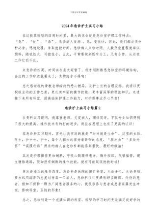 2024年急诊护士实习小结