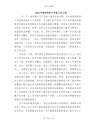 2024年急诊科护士年度工作小结