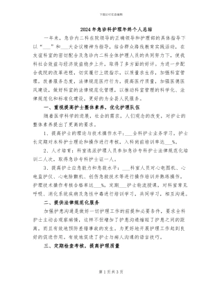 2024年急诊科护理年终个人总结