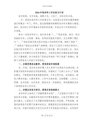 2024年急诊科工作总结与计划