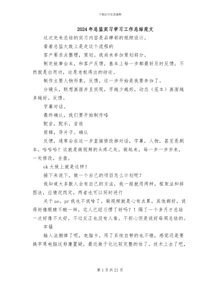 2024年总监实习学习工作总结范文
