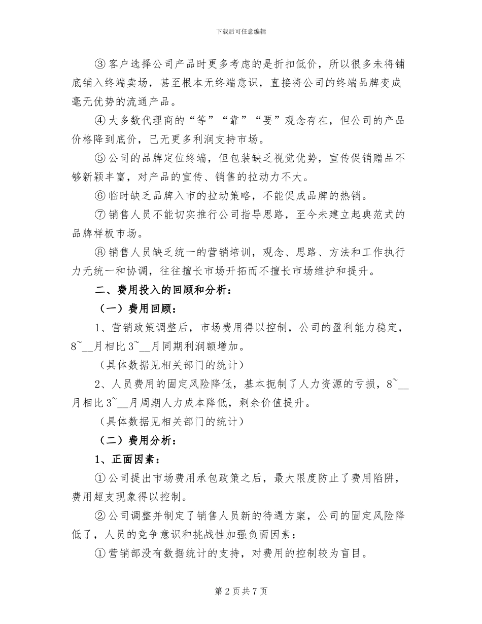 2024年总监销售工作总结_第2页