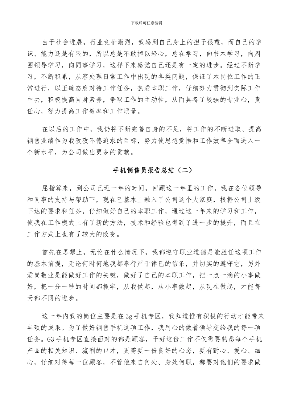 2024年手机销售员个人工作报告总结_第2页