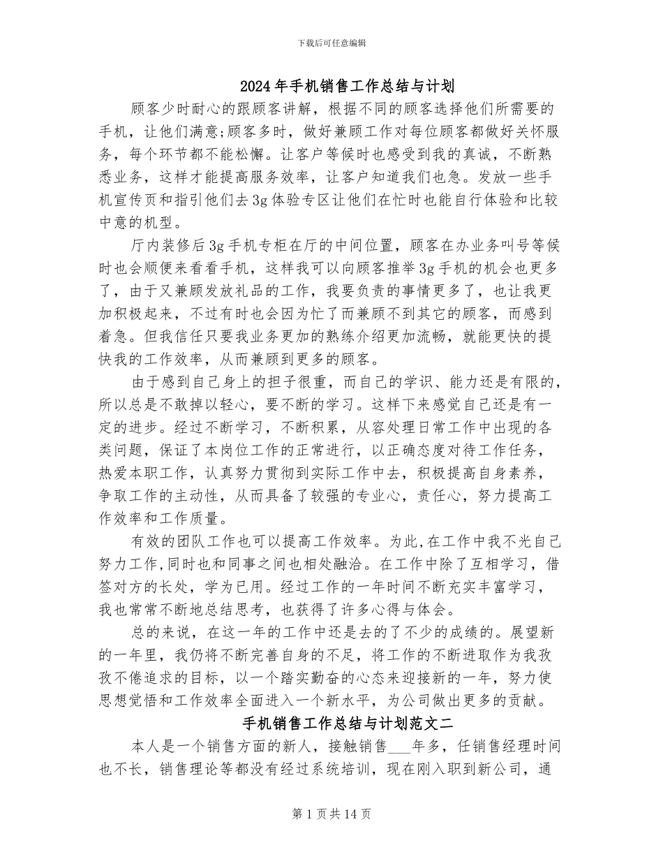 2024年手机销售工作总结与计划_第1页