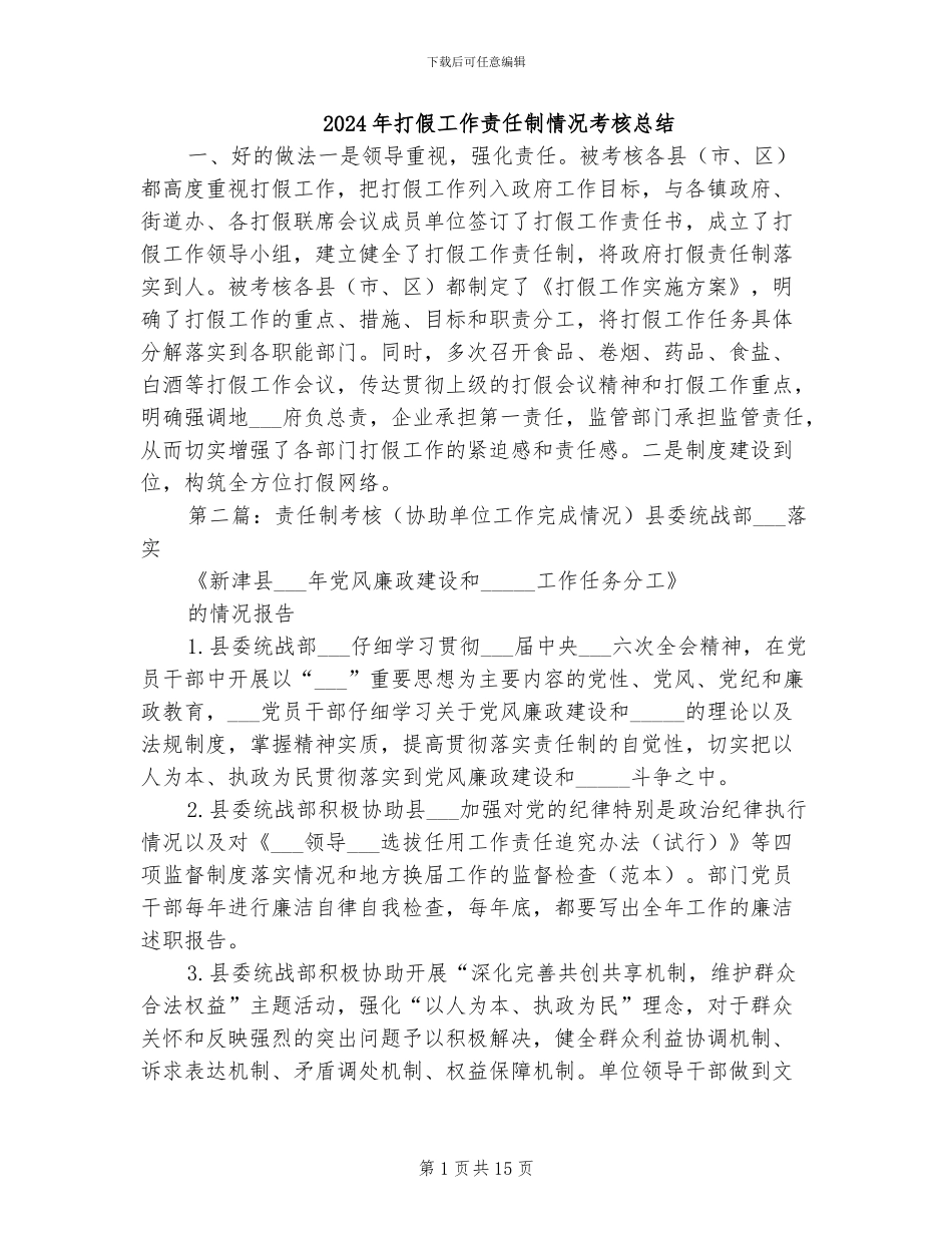2024年打假工作责任制情况考核总结_第1页