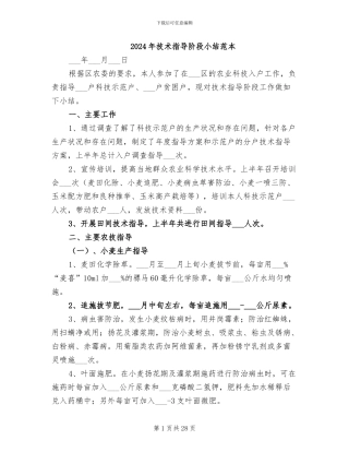 2024年技术指导阶段小结范本