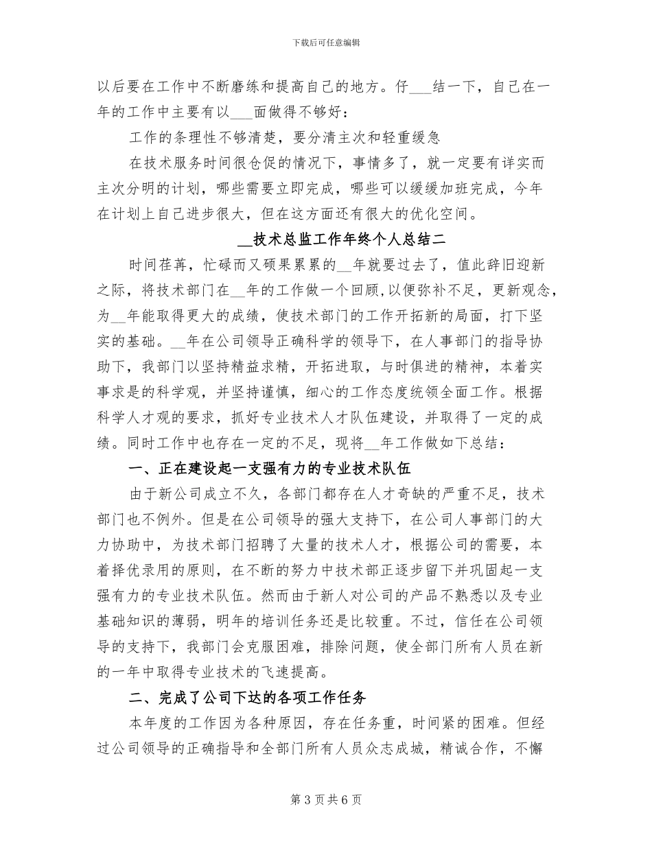 2024年技术总监工作年终个人总结_第3页