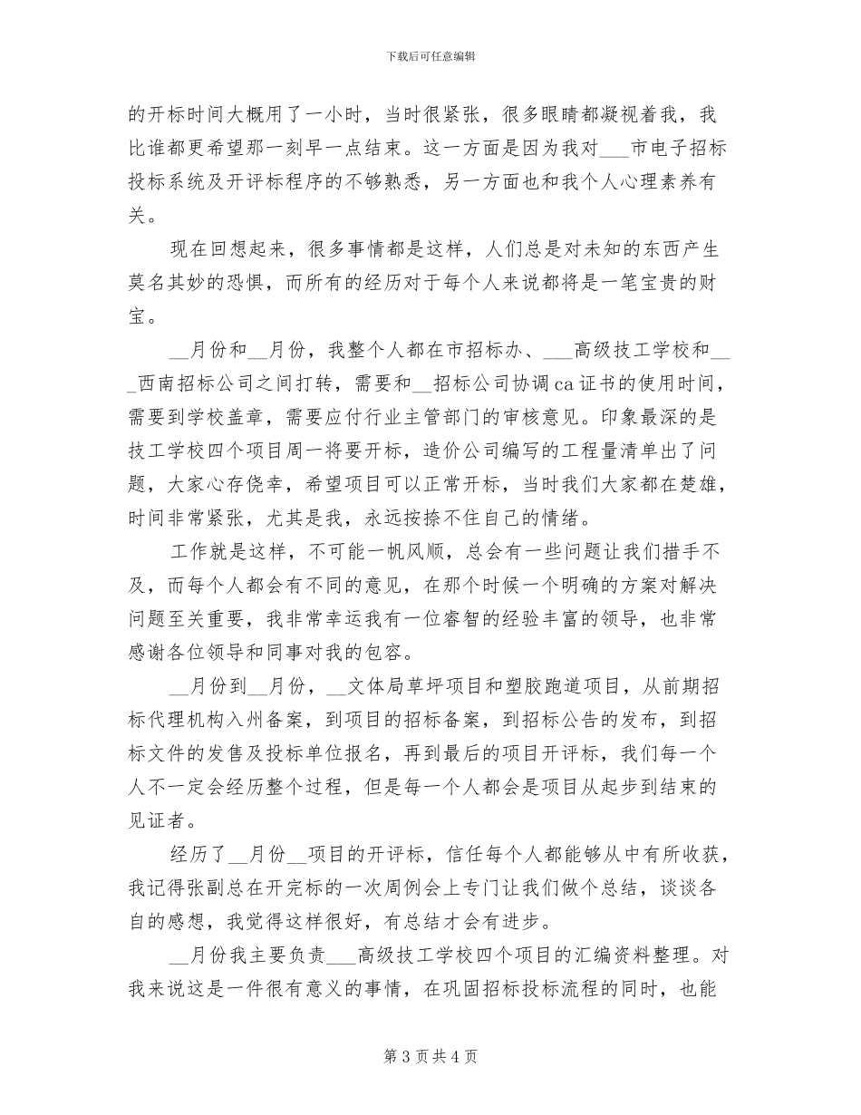 2024年投标个人工作总结_第3页