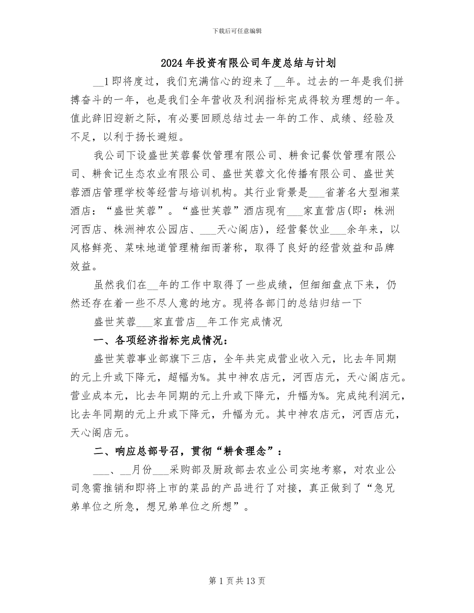 2024年投资有限公司年度总结与计划_第1页