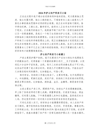 2024年护士妇产科实习小结