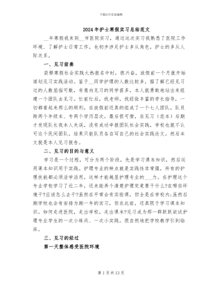 2024年护士寒假实习总结范文