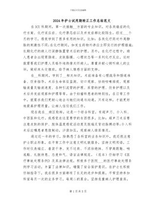 2024年护士试用期转正工作总结范文
