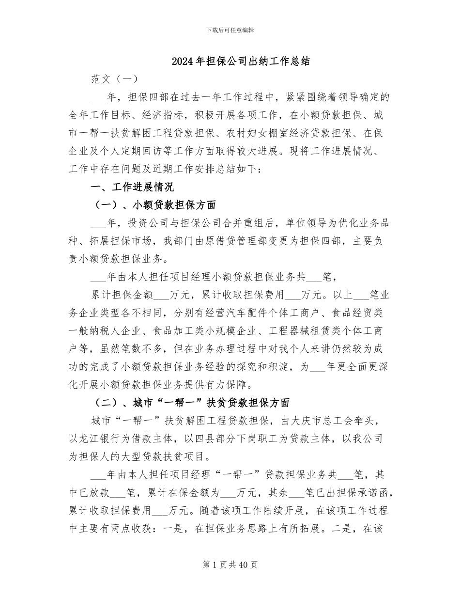 2024年担保公司出纳工作总结_第1页