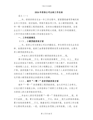 2024年担保公司出纳工作总结