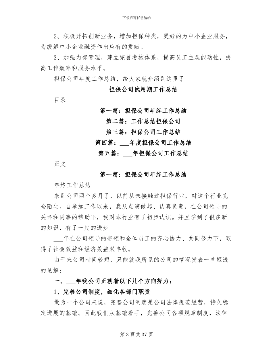 2024年担保公司的年度工作总结_第3页