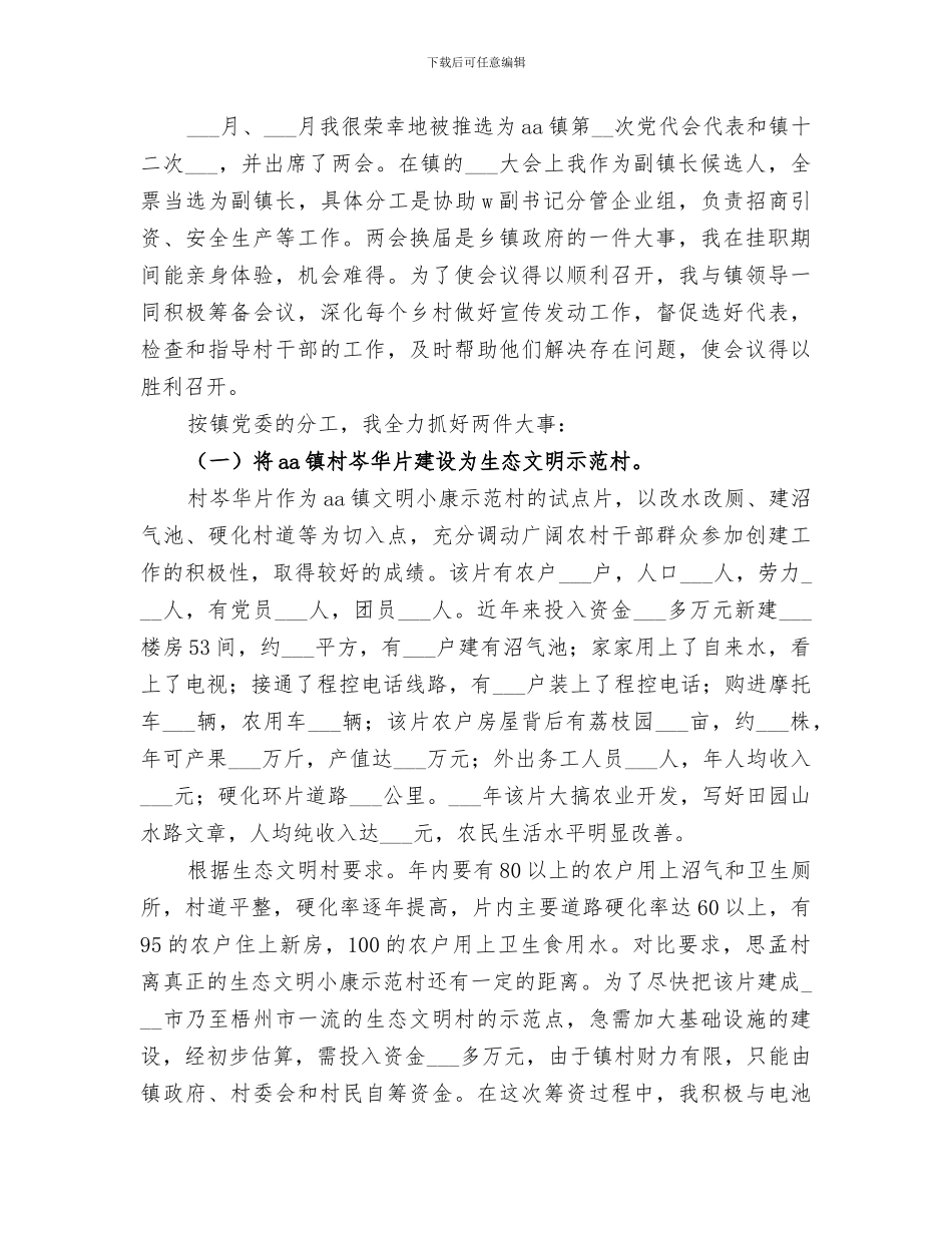 2024年挂职期间工作总结_第2页