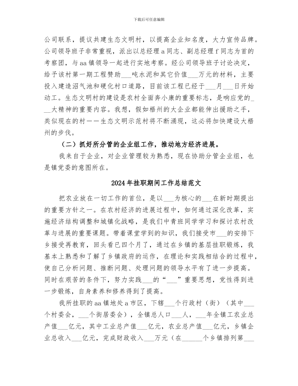 2024年挂职期间工作总结_第3页