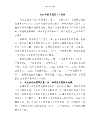 2024年挂职期间工作总结