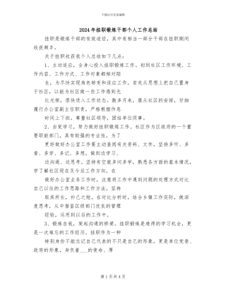 2024年挂职锻炼干部个人工作总结