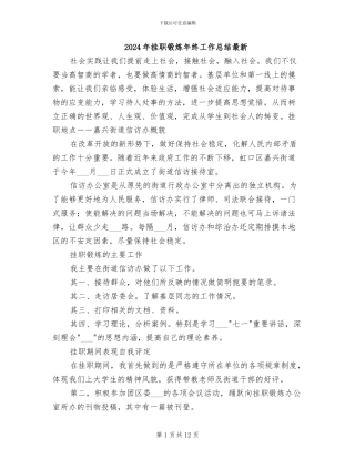 2024年挂职锻炼年终工作总结最新