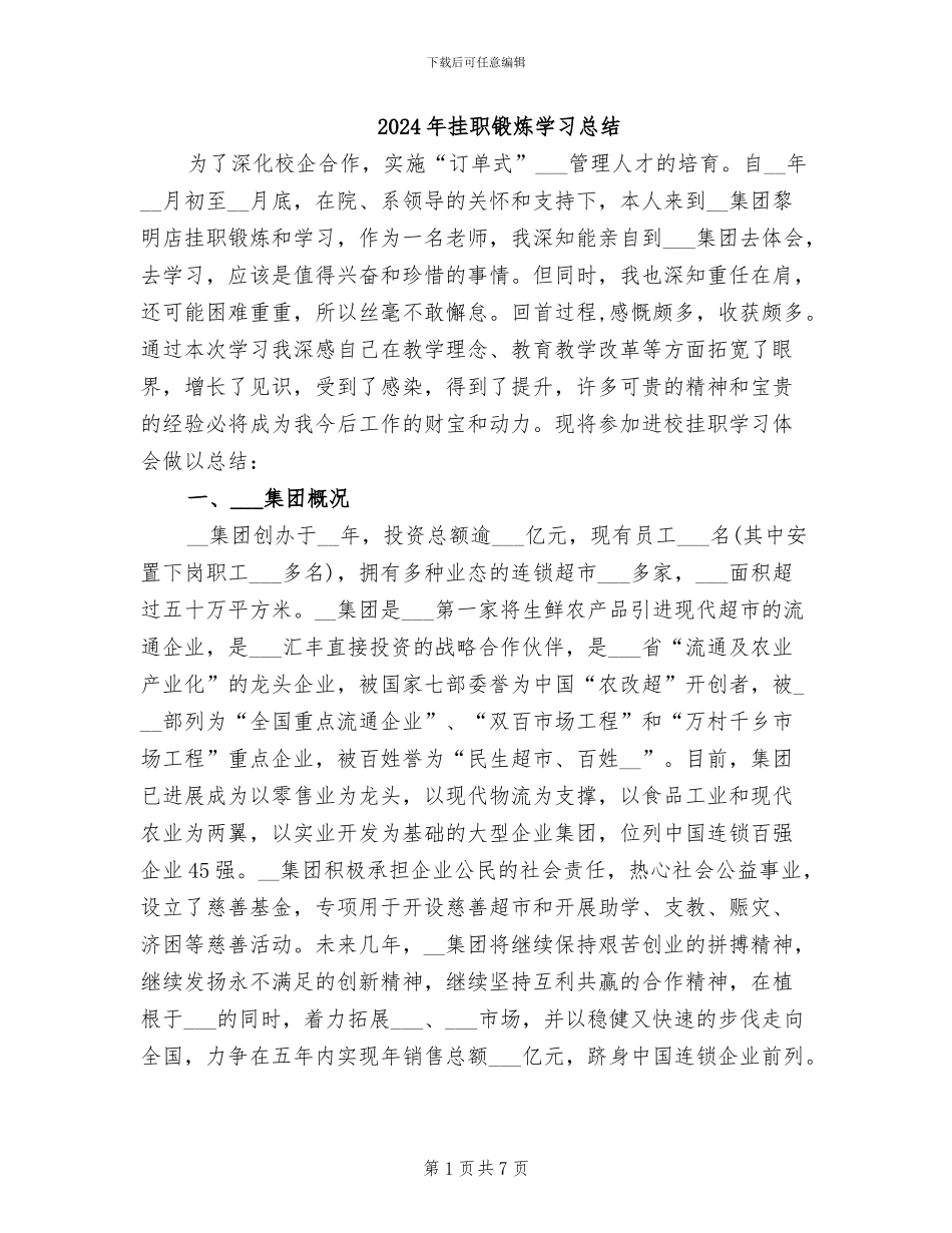 2024年挂职锻炼学习总结_第1页