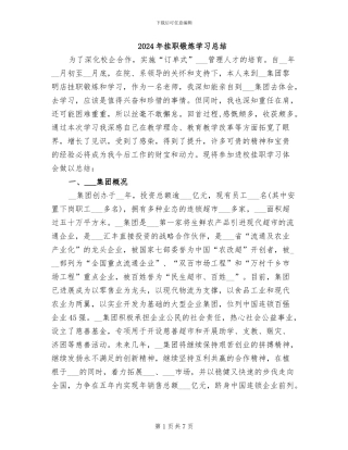 2024年挂职锻炼学习总结