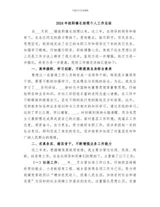 2024年挂职镇长助理个人工作总结