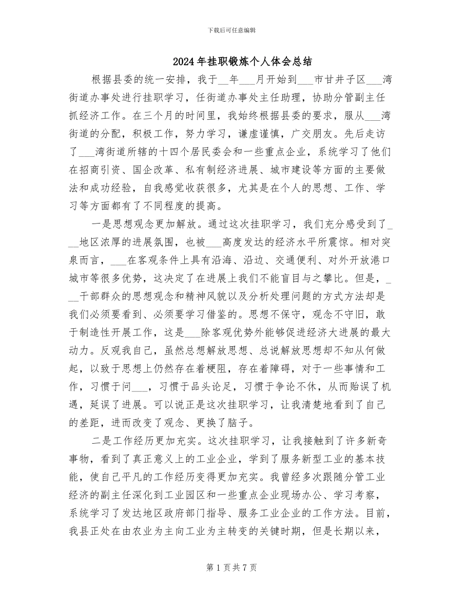 2024年挂职锻炼个人体会总结_第1页