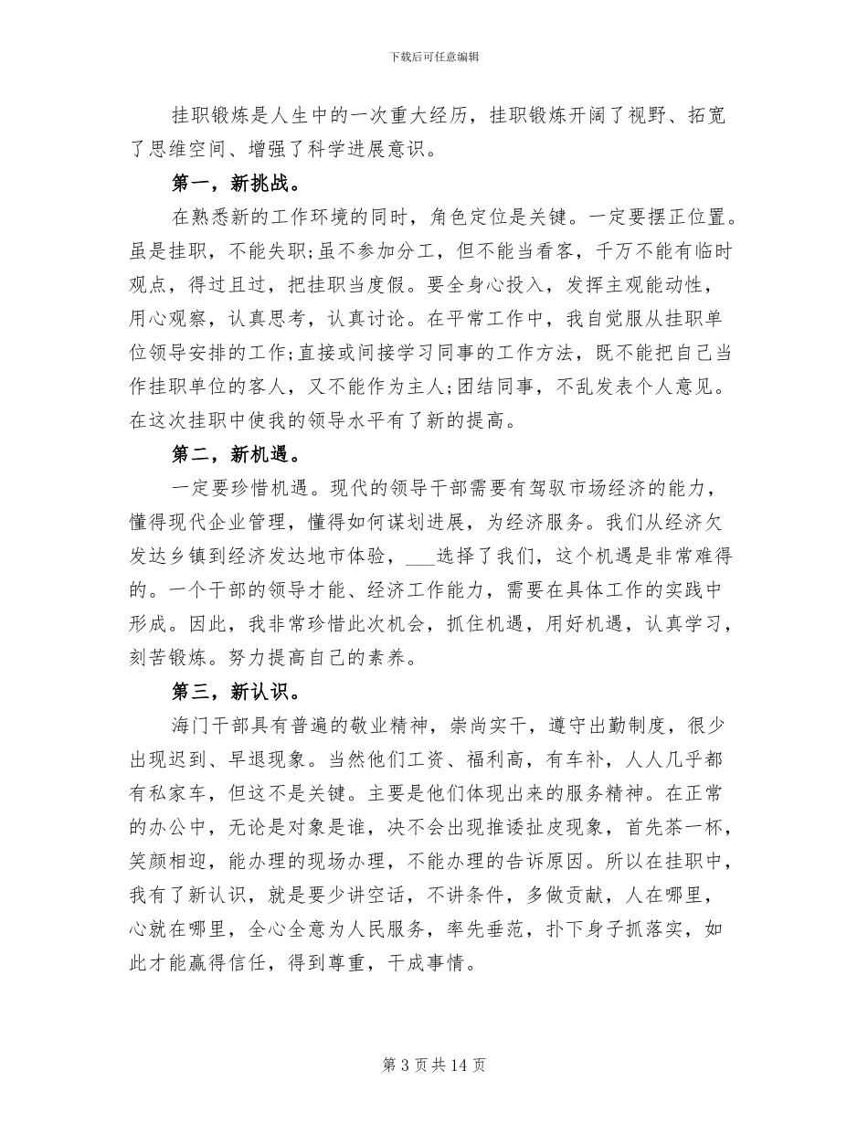 2024年挂职锻炼个人工作总结二_第3页