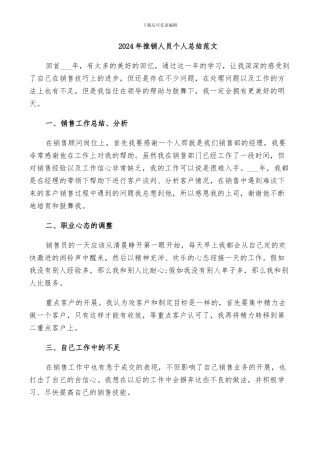 2024年推销人员个人总结范文
