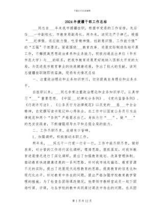 2024年援疆干部工作总结