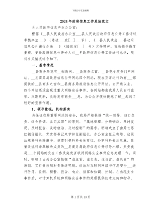 2024年政府信息工作总结范文