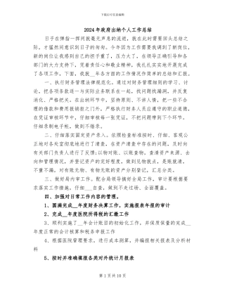 2024年政府出纳个人工作总结