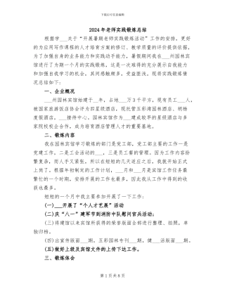 2024年教师实践锻炼总结