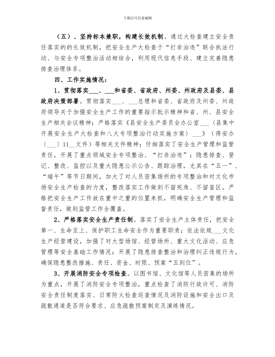 2024年文化旅游行业集中整治工作总结_第3页