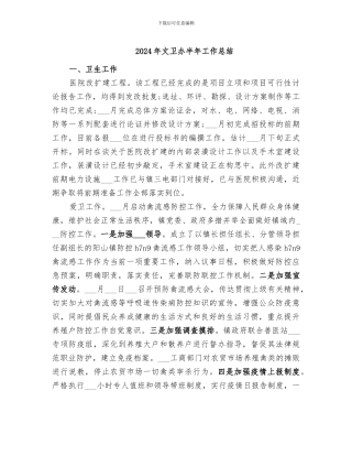 2024年文卫办半年工作总结