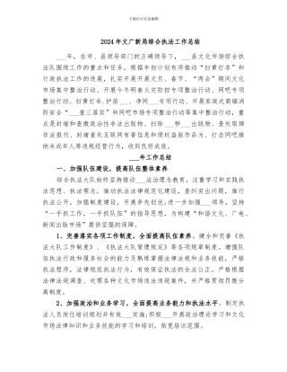 2024年文广新局综合执法工作总结