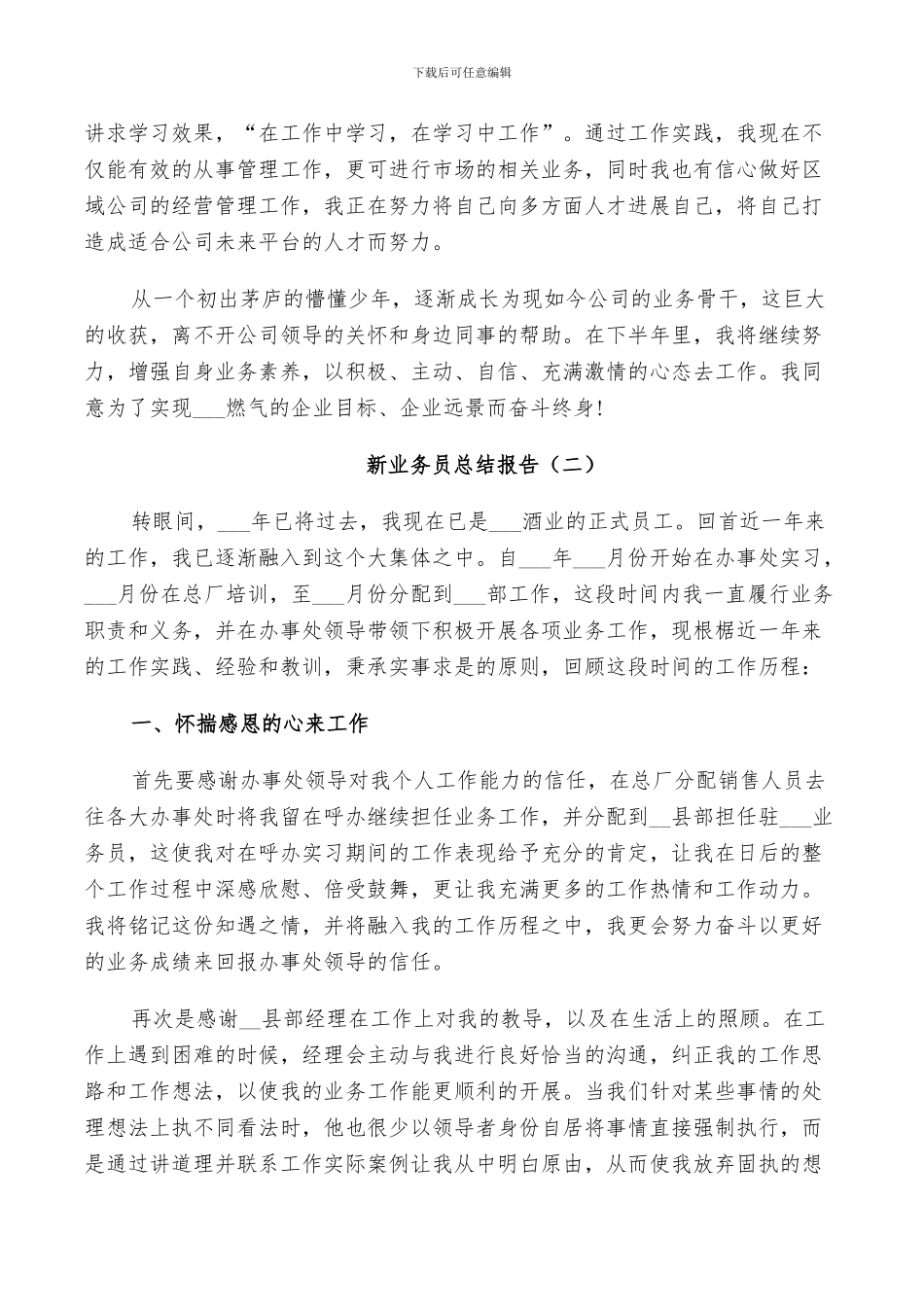 2024年新业务员个人总结_第2页